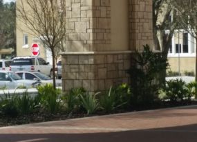 Landscaping Lakeland FL